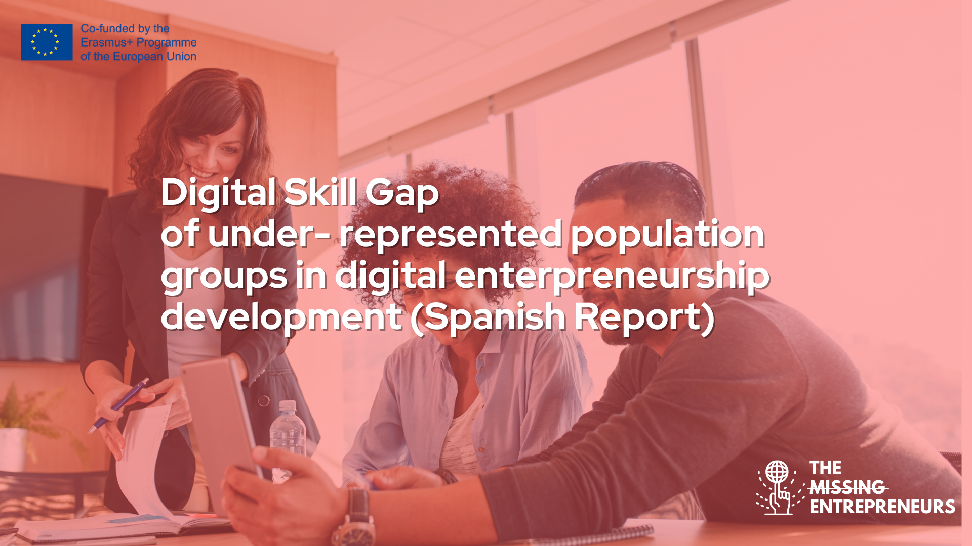 comprehensive-framework-of-skills-digital-gaps-of-under-represented